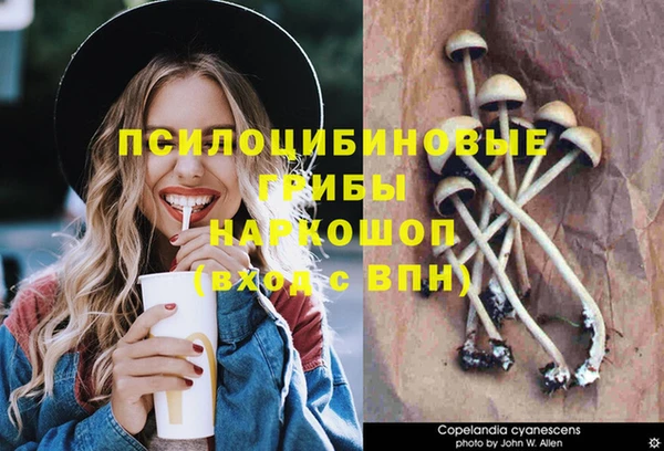 трава Тайга